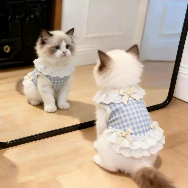 Cute Plaid Pet Dress with Lace Ruffles and Bows, Clothes for Kittens & Puppies, Lightweight Soft Princess Skirt for Small Dogs