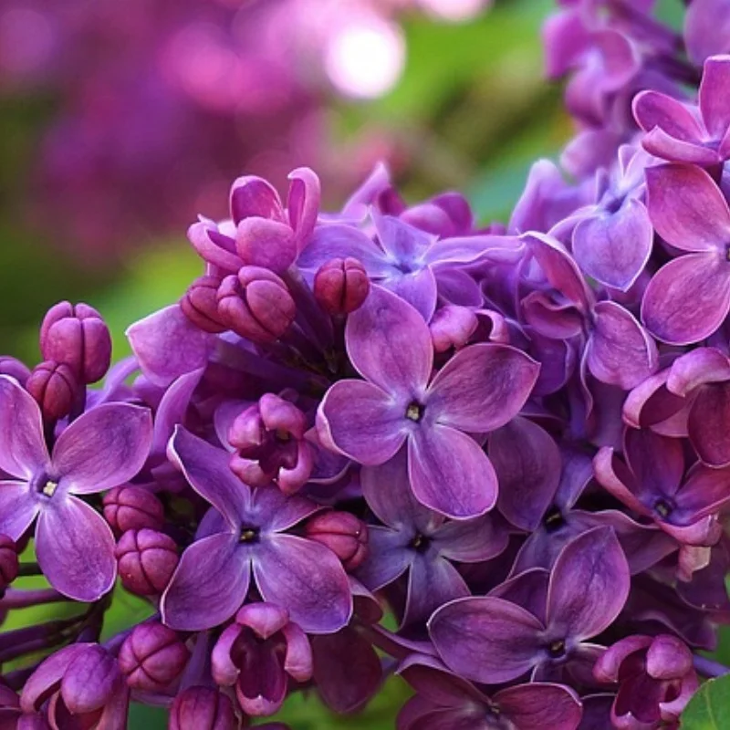 

12428 12423 Комплект обновленных аксессуаров Амортизаторы для Feiyue FY03 WLtoys 12428 12423 1/12 RC Багги Автозапчасти