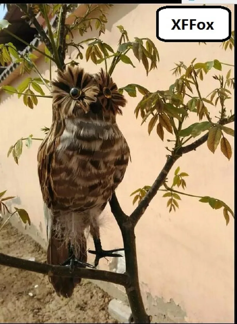 cute simulation owl model foam&feathers new brown owl bird gift about 35cm xf2456