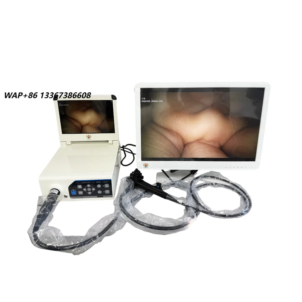 SY-P033P-1 Portable Veterinary Endoscopy System for Comprehensive Animal Health Screening