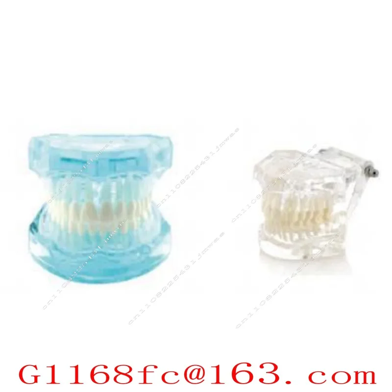Suitable for Teaching Molds for Experimental Dental Models