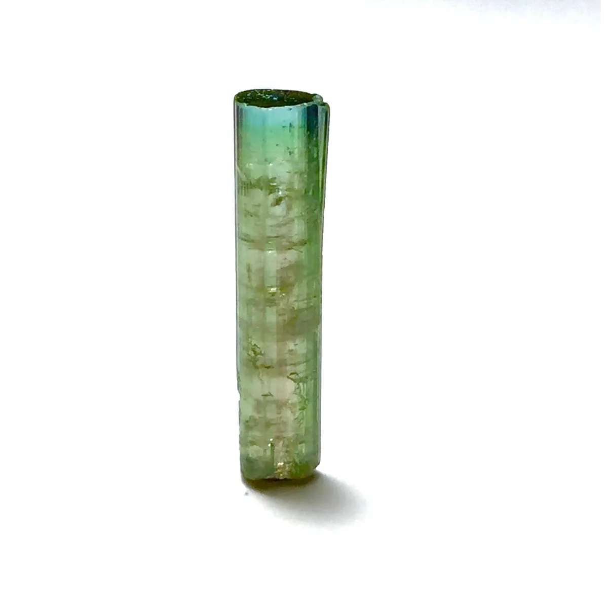 Brazilian Elbaite Stone Specimens, 10g 5-15mm Multi-Color Stones, Display Box for Mineral Collection & Shelf Display
