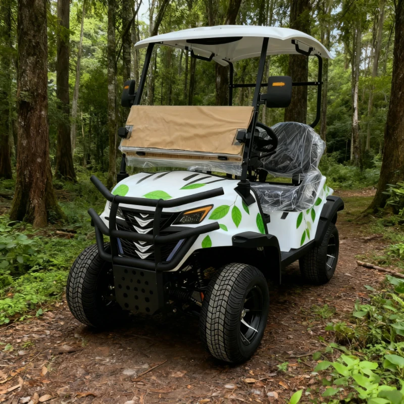 

Роскошная многоцветная тележка для гольфа на 2/4/6/8 мест, 4WD, новая китайская тележка для гольфа 2025 года