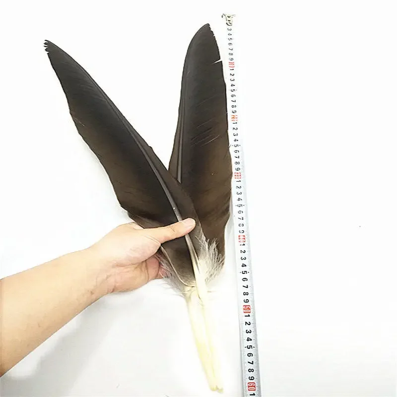 1PC Rare Feather Natural Big Feather Arrow Horse Eagle Tail Hair DIY Exorcism Town House Stage Prop Decoration