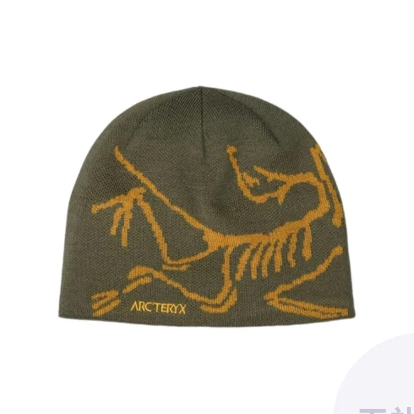 Arc'teryx Polyester Beanies Unisex Multicolor L08023800