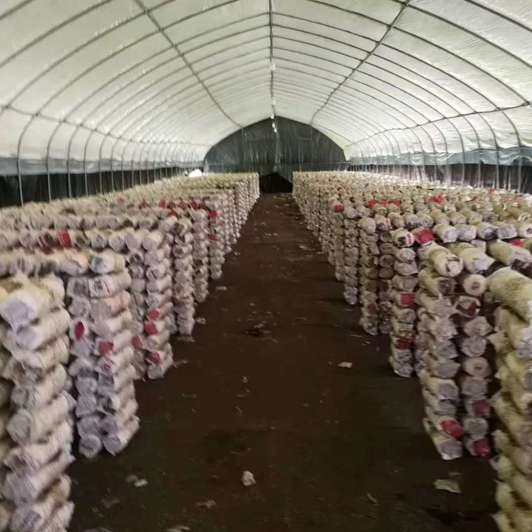 20258x30m Agriculture Tomato Greenhouse Frames Plastic Film Single Span Tunnel Greenhouses