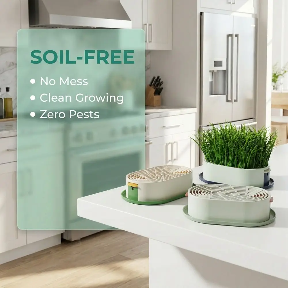Layered Design Cat Grass Planter Box Prevent Overflow With Drain Holes Hydroponic Cat Grass Box Removable