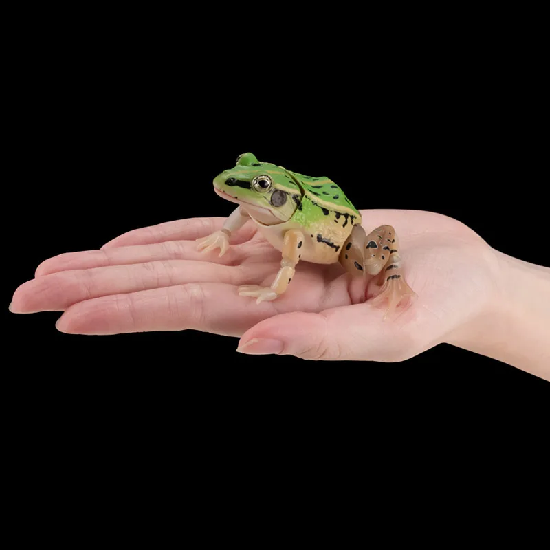 Bandai Gashapon Enciclopedia biografica Stagno maculato nero Rana Animali simulati Prop mobile Action Figures Modello Giocattolo per bambini