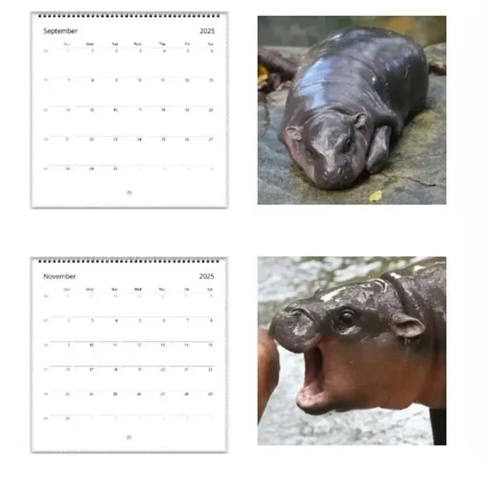 Moda 2025 moo deng calendário bebê hipopótamo criativo hipopótamo calendário 50 pçs placa de cobre papel pendurado decoração de mesa