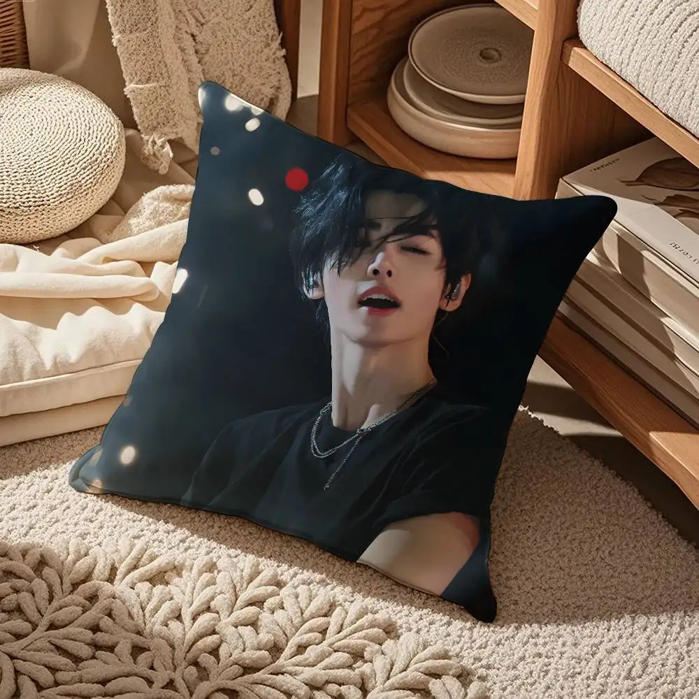 

The Band E-e-EnHyPEn-n Pillow Case Comfort Sofa Bed Silky Elegant Invisible Zipper Custom Decorative Cushion Cover