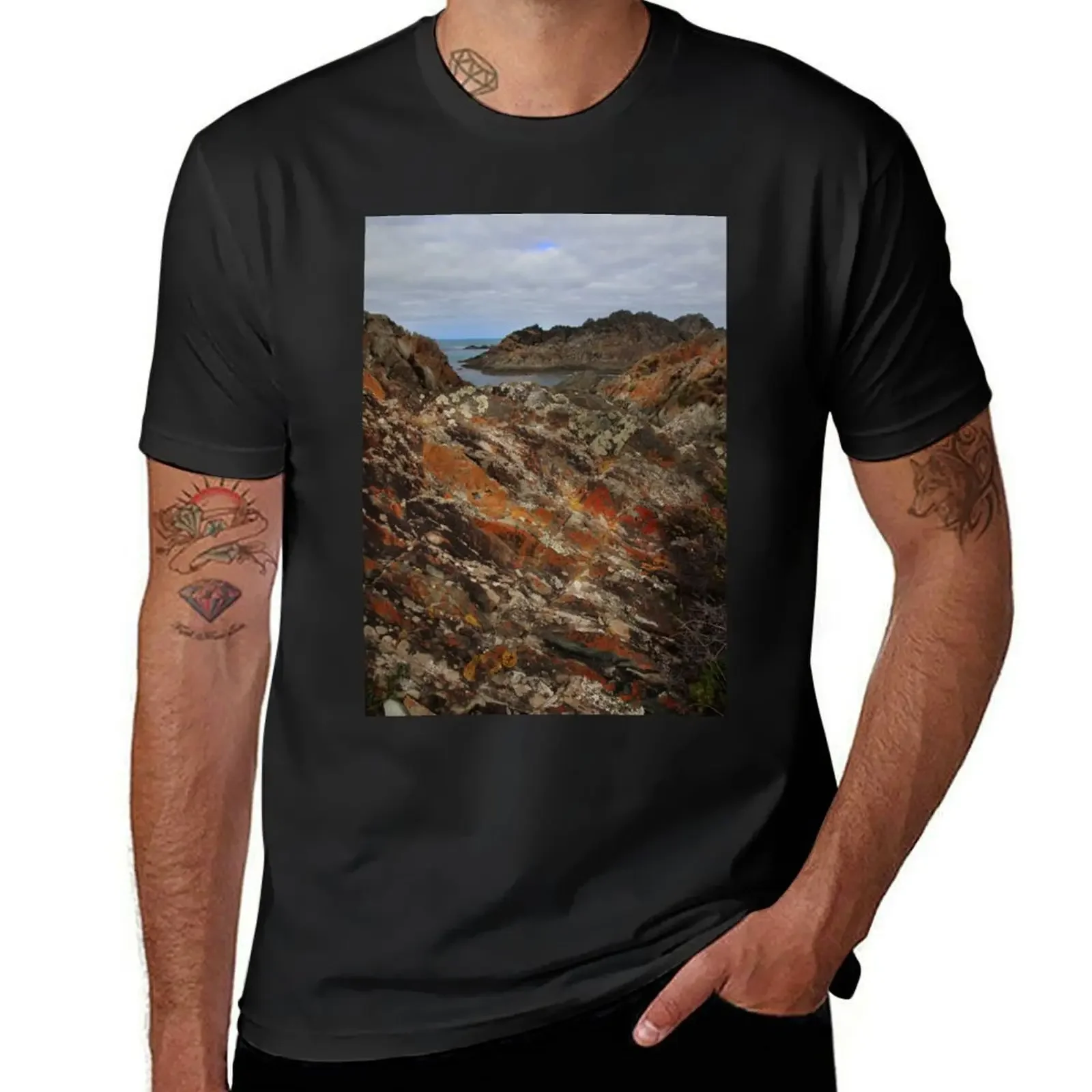 

lichen covered outcrops at Sarah Ann Rocks (Tasmania) T-Shirt street wear cute tops clothing for men