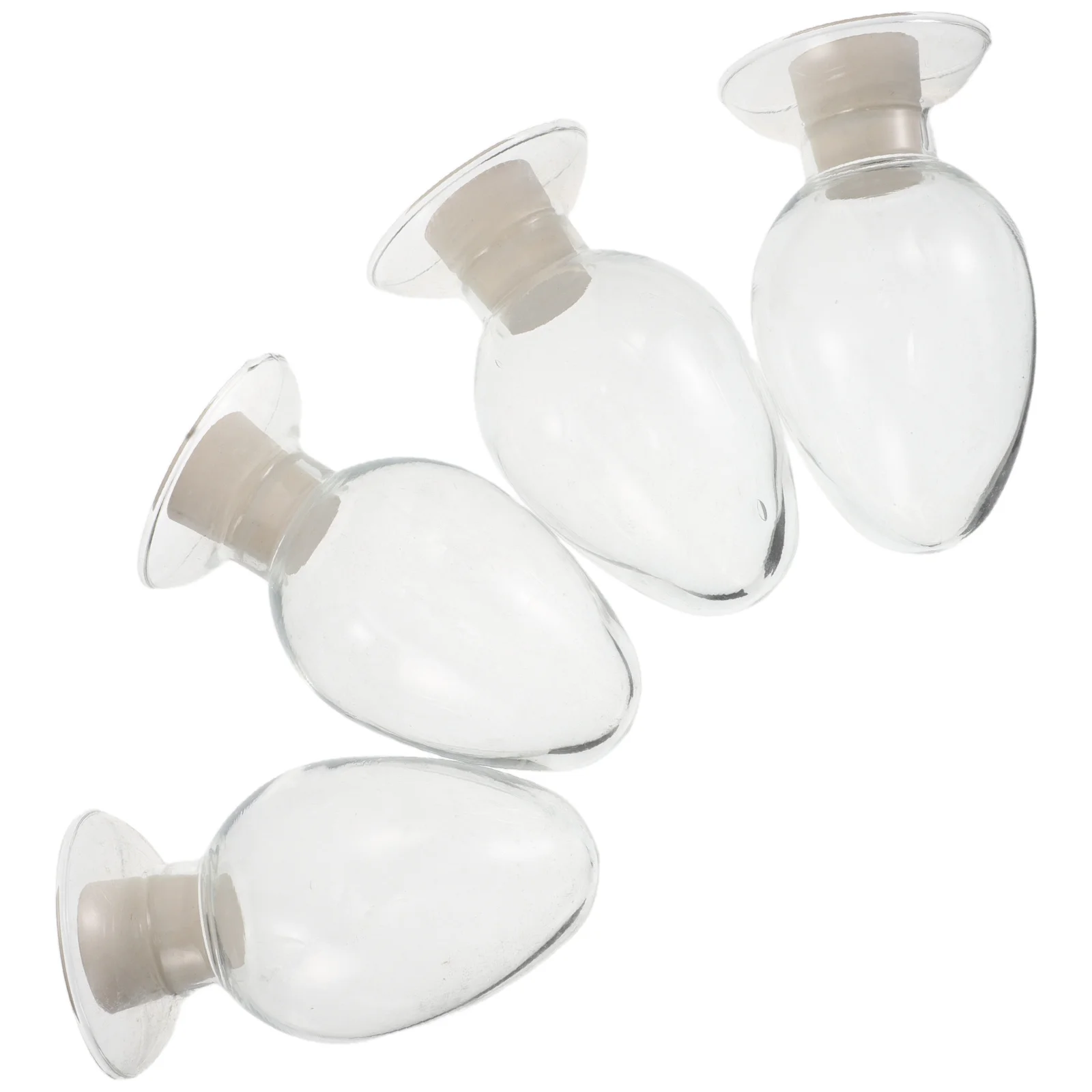 

4Pcs Seed Sample Bottles High Transparency Glass Stopper Cloche for Home Garden Seed Storage Organizer Sample Vials Lab Glass