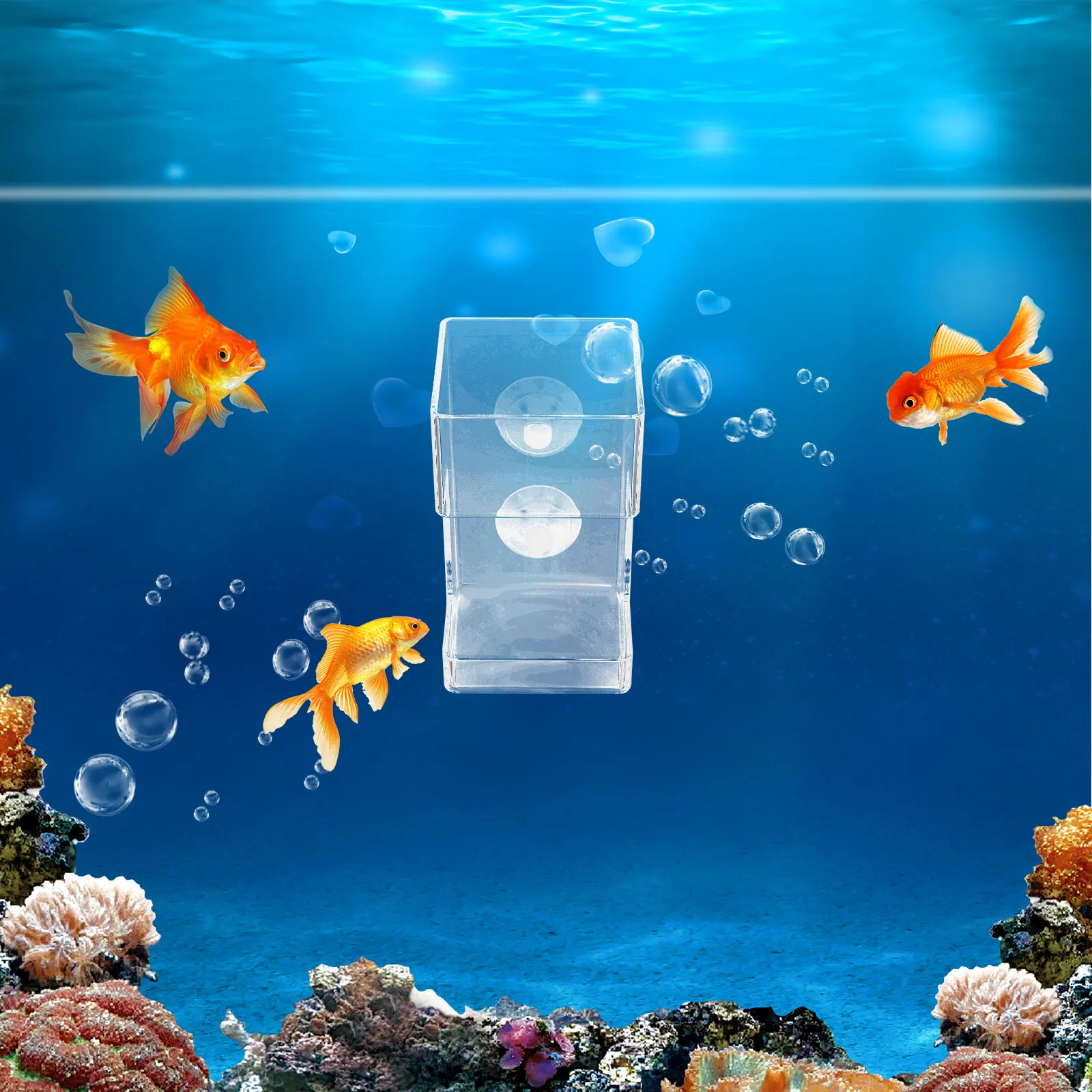 

Fish Tank Fish Food Feeding Floating Aquarium Feeder Suction Cup Durable Reusable Tool Feeding Ring