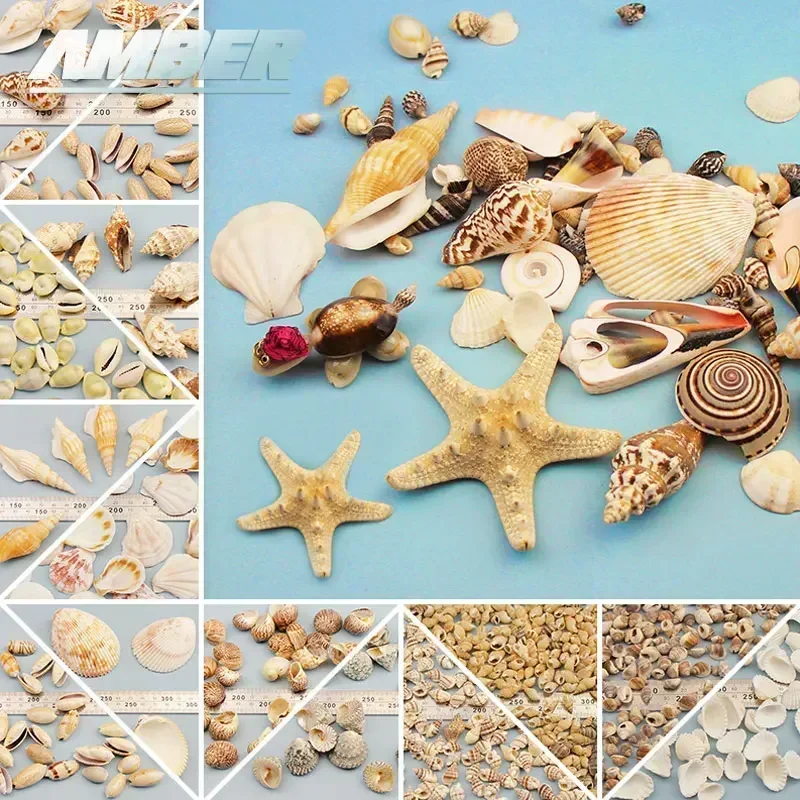 Mini Concha Natural mediterránea, 1 bolsa, interesantes colores mezclados, conchas de mar pequeñas y reales, adornos de decoración náutica para acuario