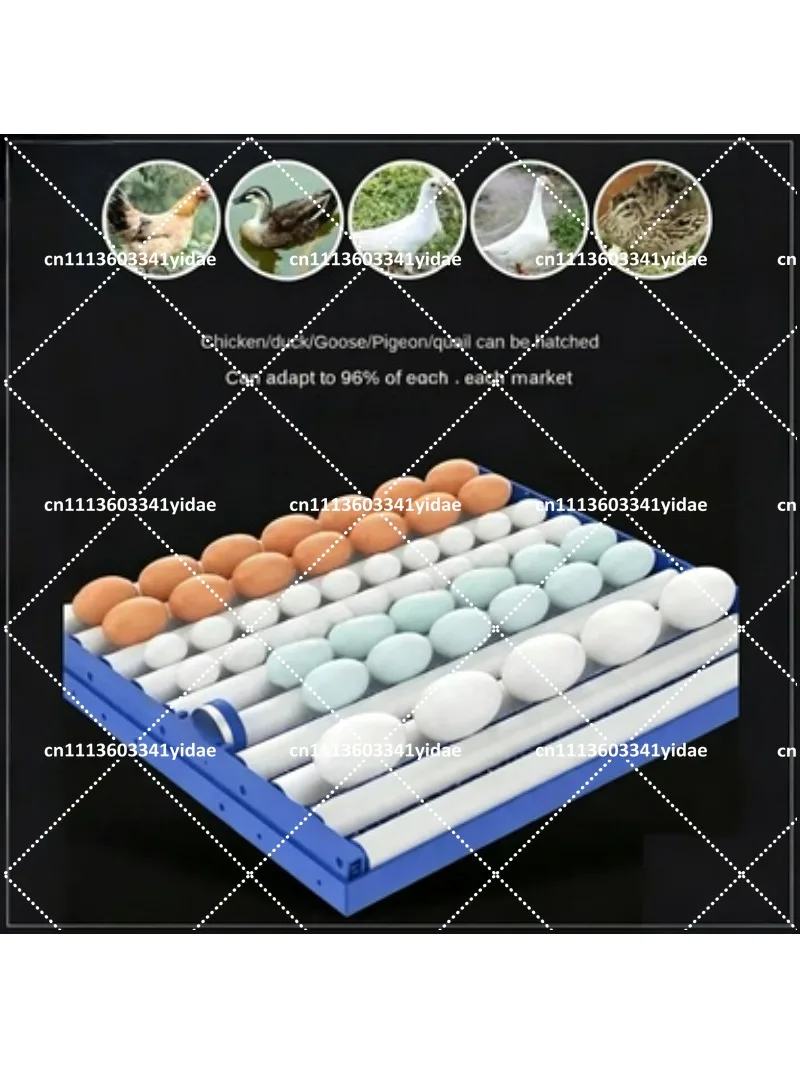 Smart Egg Incubator 204/136 Capacity Fully Automatic for Chicken Duck Goose Quail Hatching