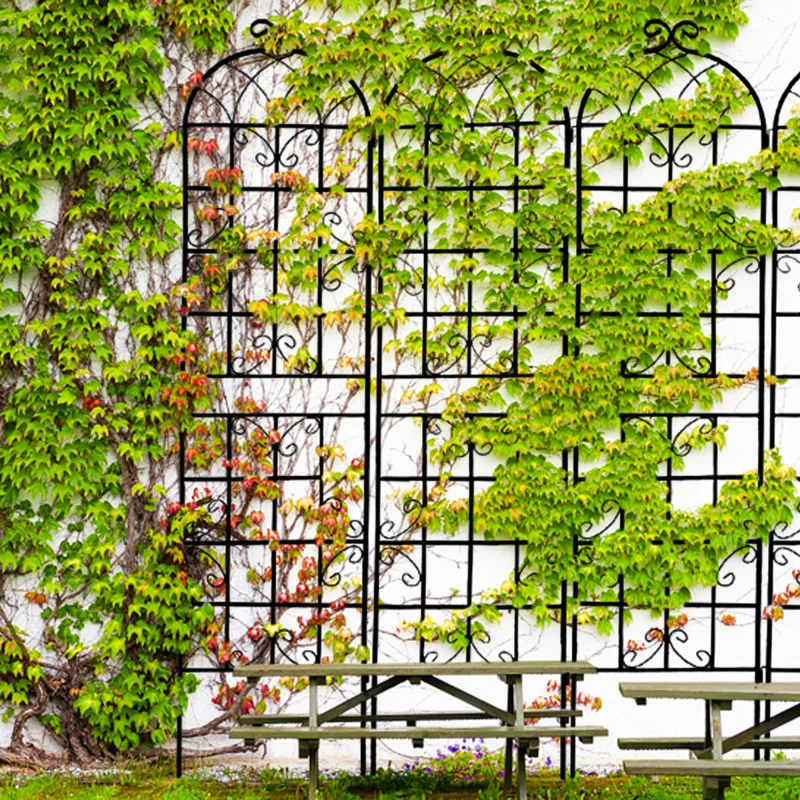 

2 Pack Metal Garden Trellis 86.7" X 19.7" Rustproof Trellis For Climbing Plants Outdoor Flower Support Black Easy To Assemble