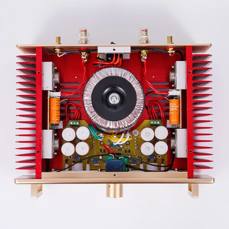 Усилитель мощности класса А BRZHIFI audio A100 HOOD1969 HIFI gold seal