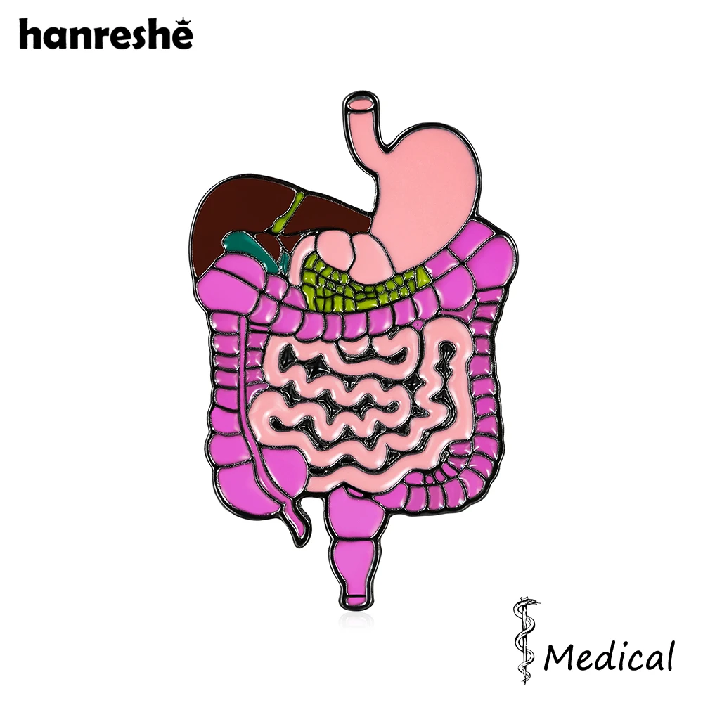 Hanreshe Medical Digestive System Enamel Brooch Intestine Stomach Liver Pin Badge Jewelry Accessories for Doctor Nurse Gifts