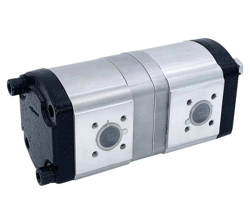 FOR Po occa Pump Factory Offers Hydraulic Double Gear Pump With Fast Delivery