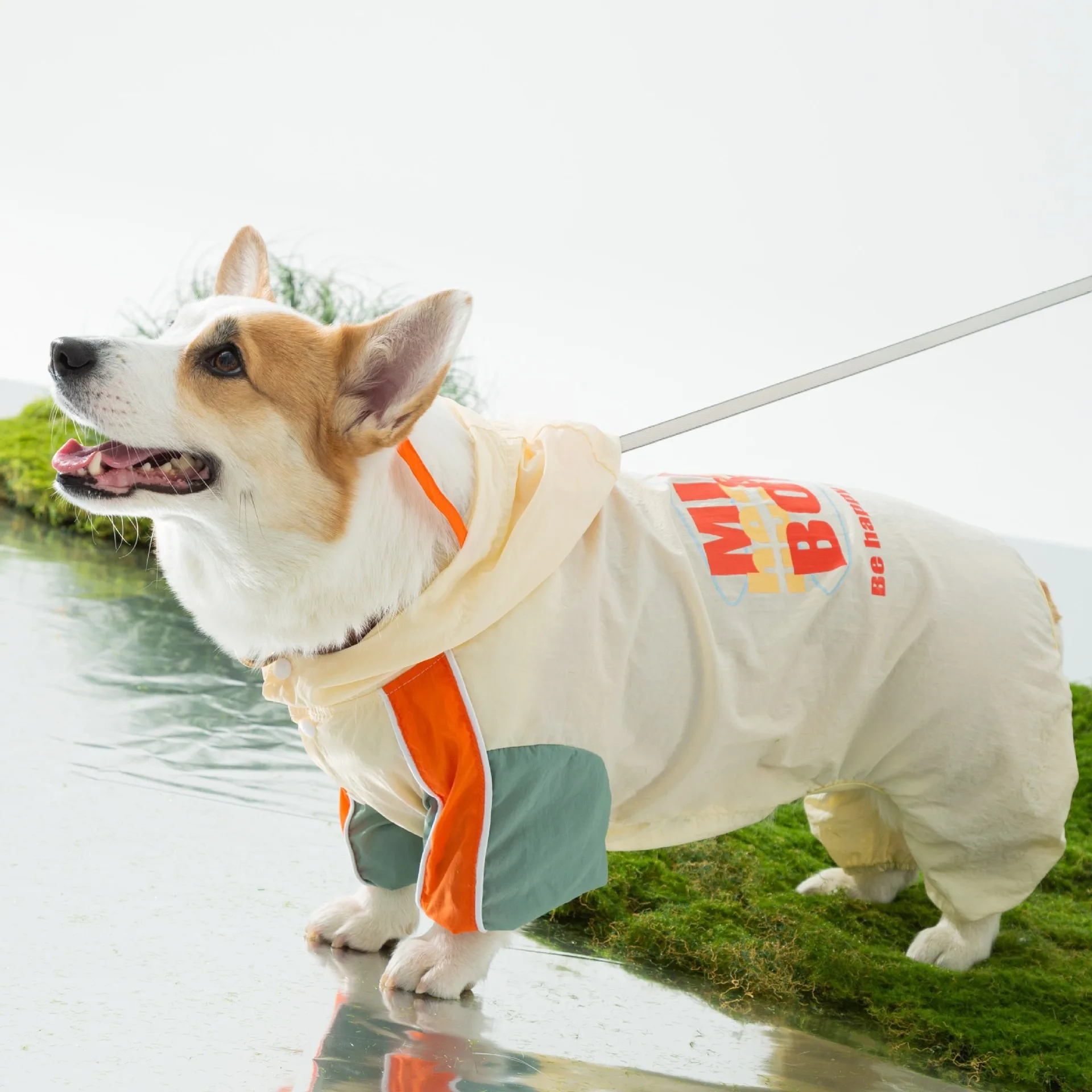 

New Corgi Raincoat Summer Waterproof Outdoor Hoodie Shirt Shirt Small and Medium Dogs Alphabet Print Four Legs Clothes