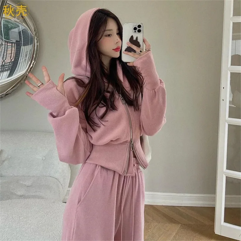 Autumn Women Zipper Two Piece Set Sport Suit Ladies Hooded Long Sleeves Sportswear Sets Korean Female Loose Fit Tracksuit Sets