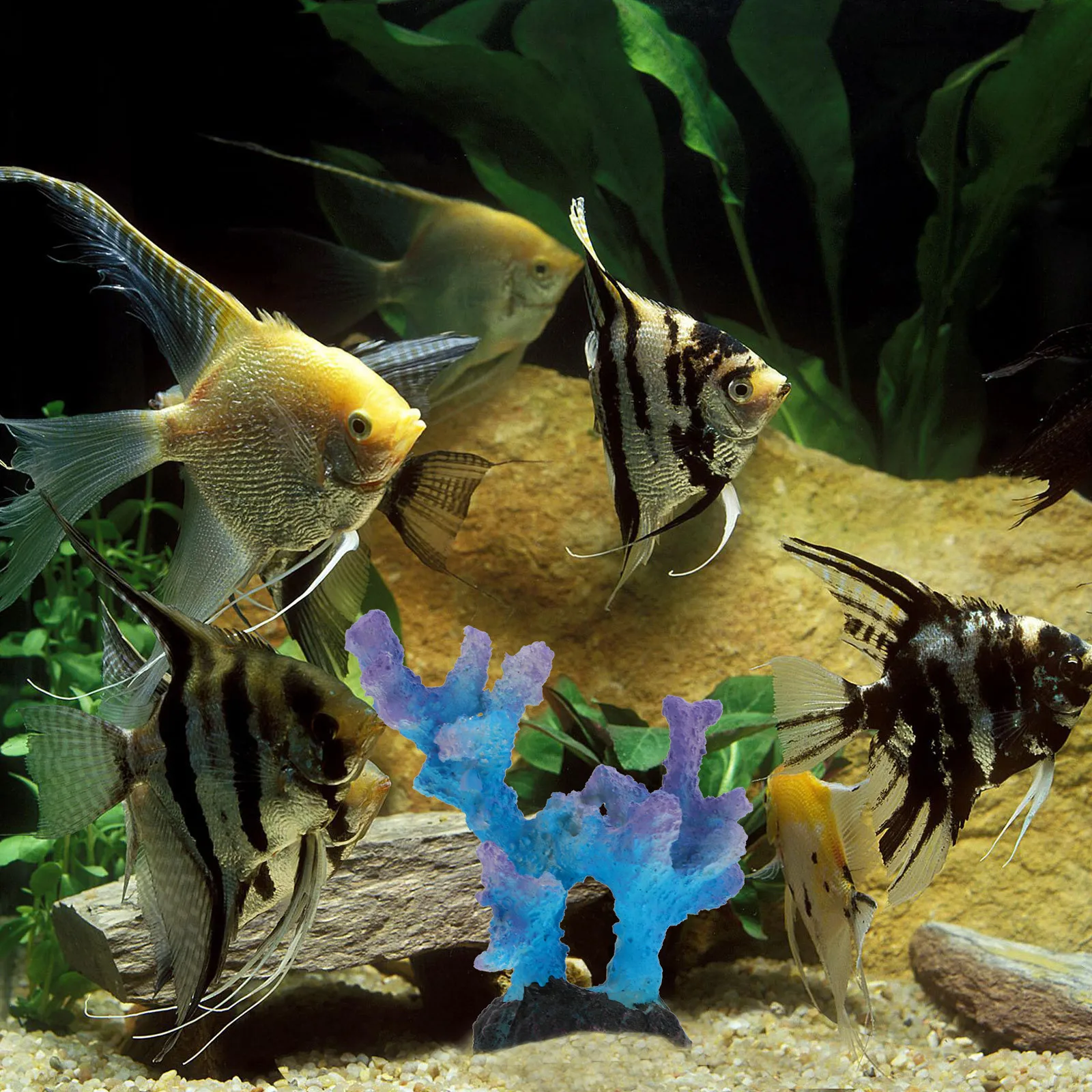 

1Pcs Resin Faux Coral Aquarium Ornament Fish Tank Decoration Artificial Lifelike Fish Tank Decoration