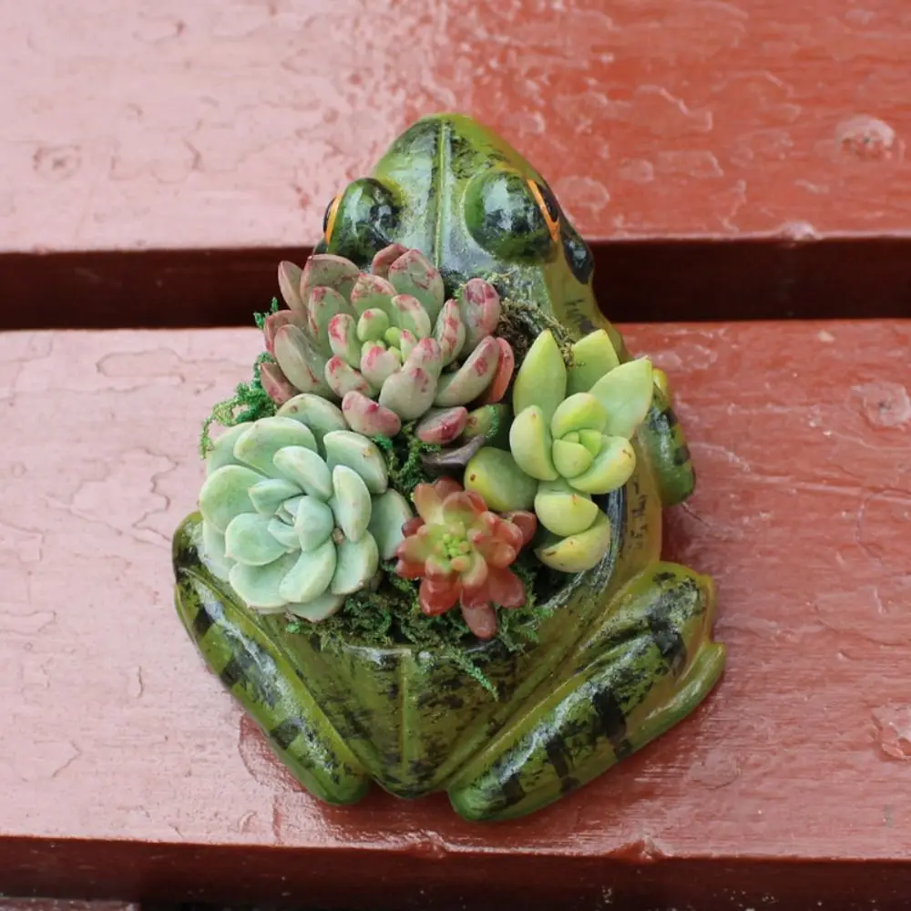 الإبداعية الراتنج الضفدع أواني النباتات العصارية تنفس سميكة الضفدع اناء للزهور لطيف نبات صغير زارع فناء