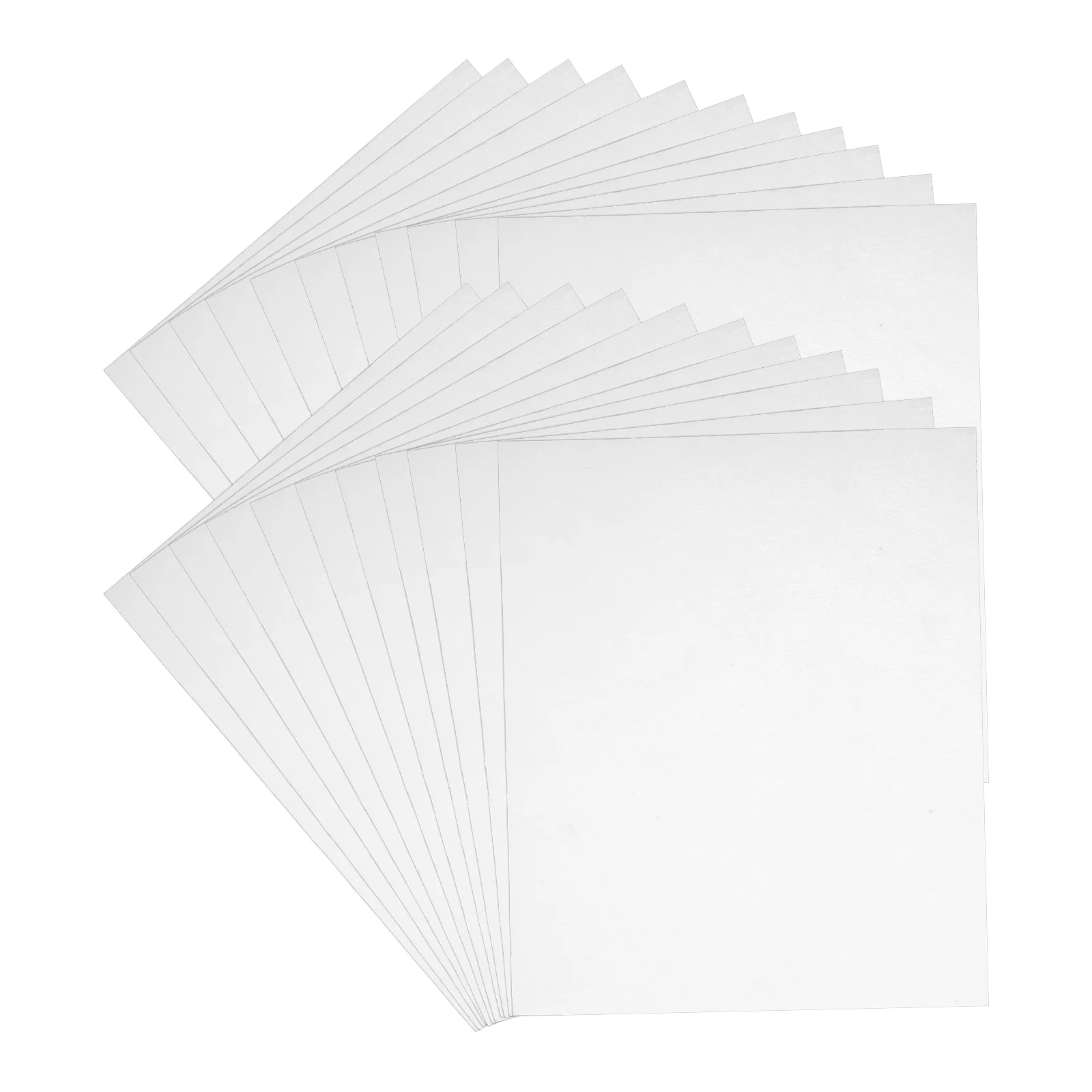

50 Pcs Pet Diapers Bamboo Paper Towels Cleaning Absorbent Non-woven Fabric Balloons Dog Breeze Pellets Cage Liner Bridegroom