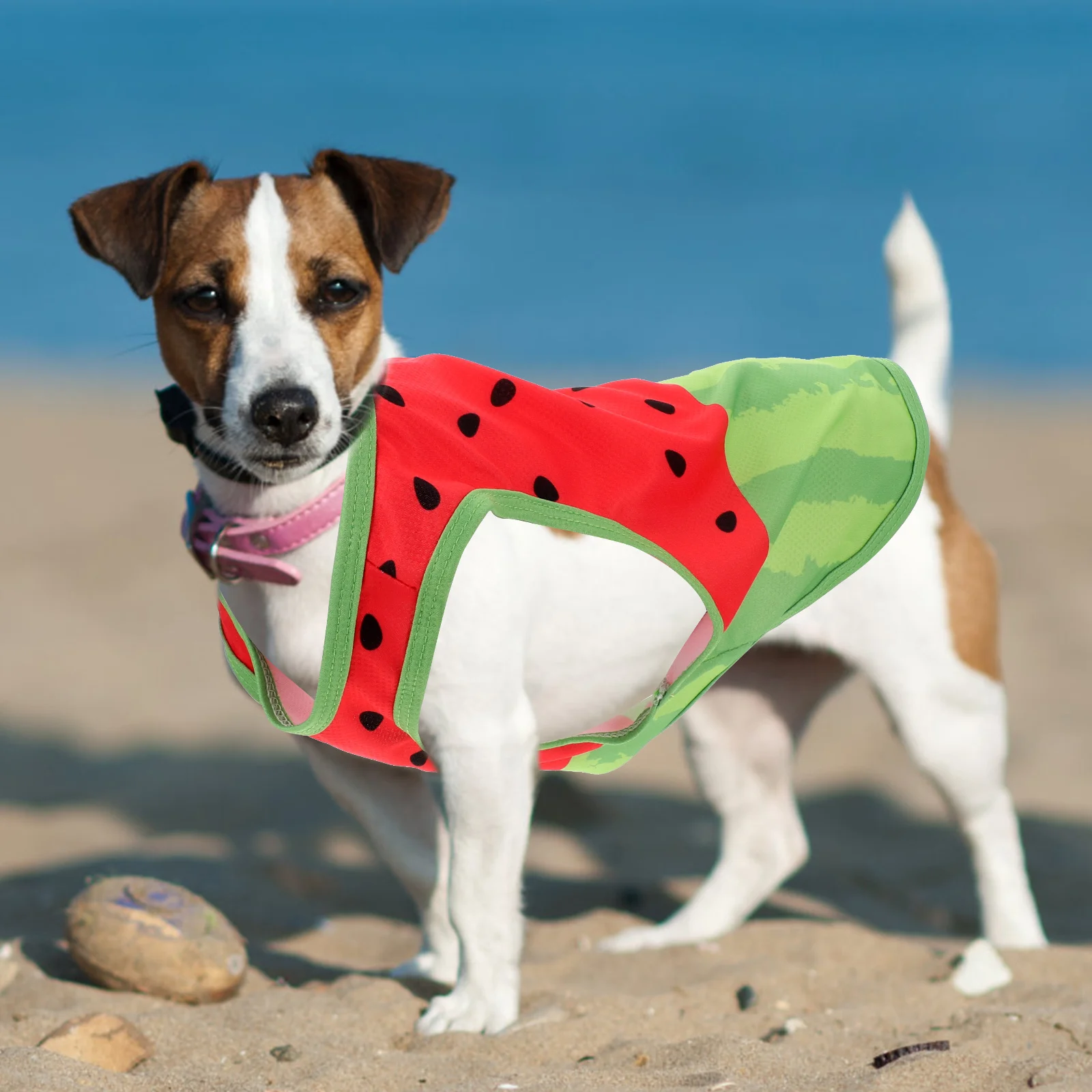 

Toddmomy Pet Cooling Shirt for Dogs Watermelon Tank Small Puppy Clothing Lightweight Breathable Dog Tee