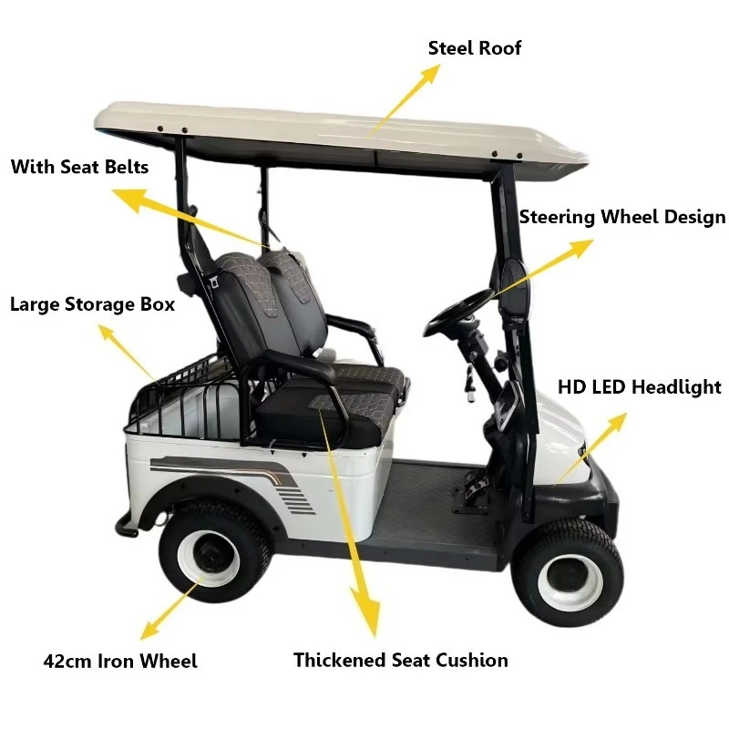 2 Seater Electric Tricycle, 800W Tuk Tuk Electric with LED Headlight & Storage Box, Motorized Trike for