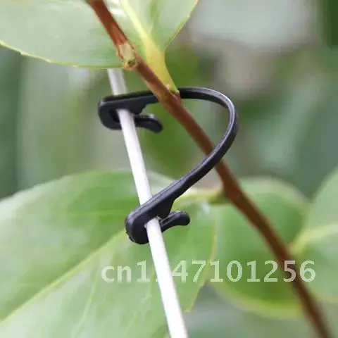 

Clips Plastic Plant Wall Climbing Vine Self-Adhesive Fastener Tied Fixture Buckle Hook Garden Plant Vine Clips Climbing Wall