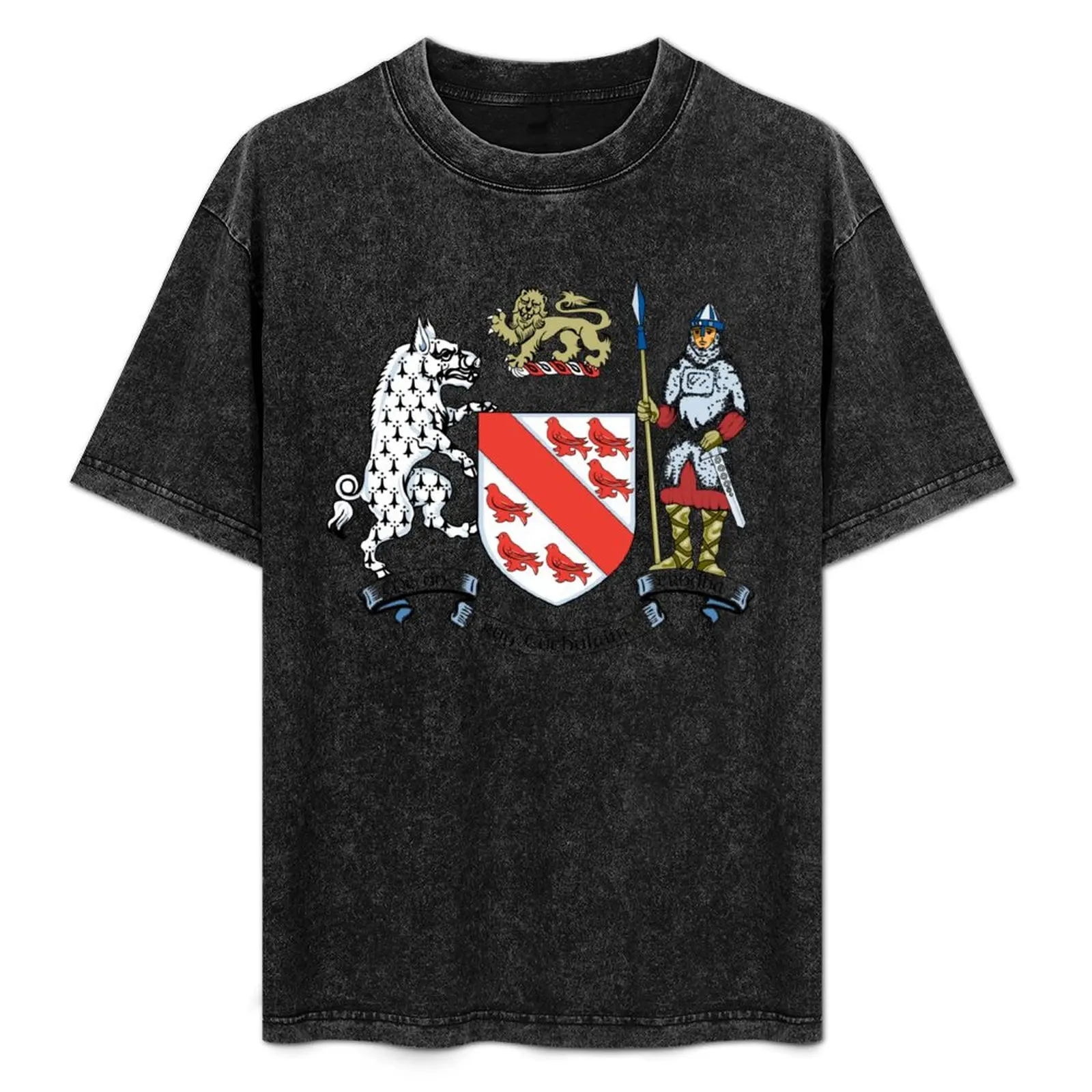 

Coat of Arms of Dundalk, Ireland T-Shirt Plus Size Short Sleeve T-Shirt