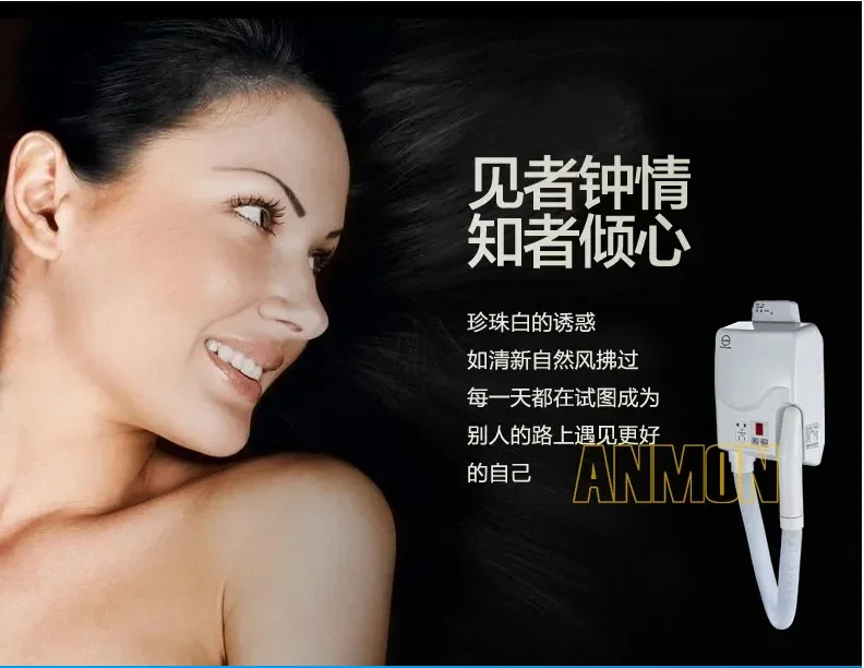 220V Wall-Mounted P…