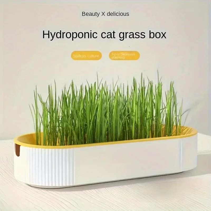 Hydroponic Cat Grass Planter Box Growing Pot Reusable Cat Snack Catnip Planting Container Soil-Free Easy-to-Use Home Supplies