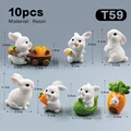 10 piezas Rabbit-T59