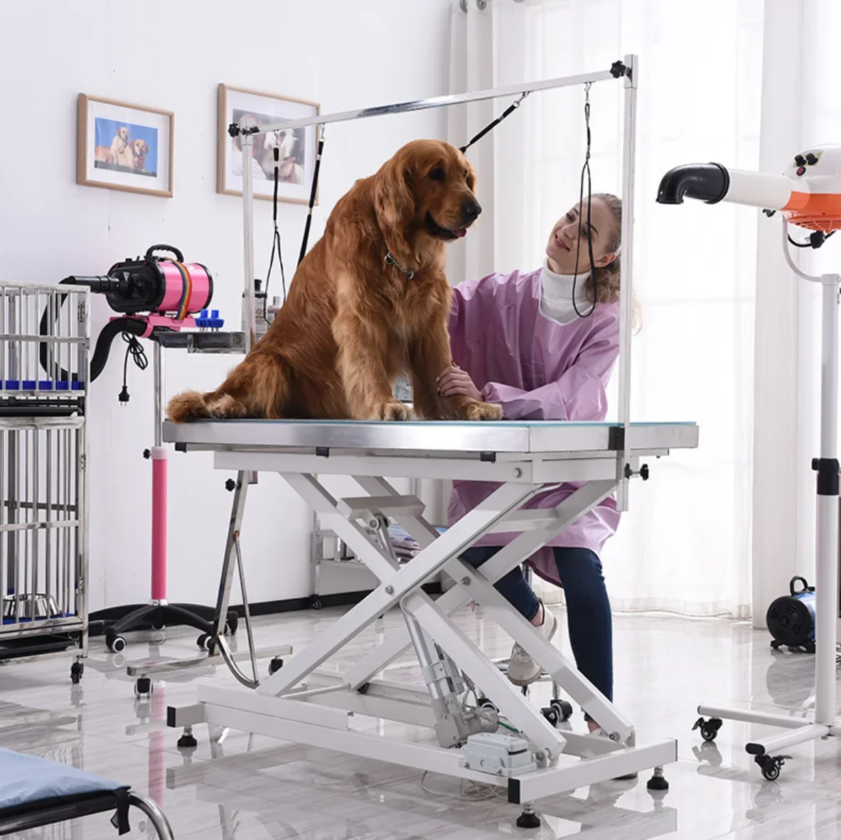 MT Medical Electric Lifting Pet Grooming   Dog Hairdressing with LED Light Veterinary Grooming