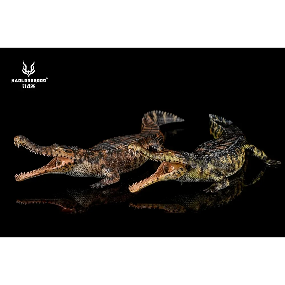 

New In Stock Ancient Prehistroy Animal Model Crocodile HAOLONGGOOD AW-005 Sarcosuchus imperator Animal Toys