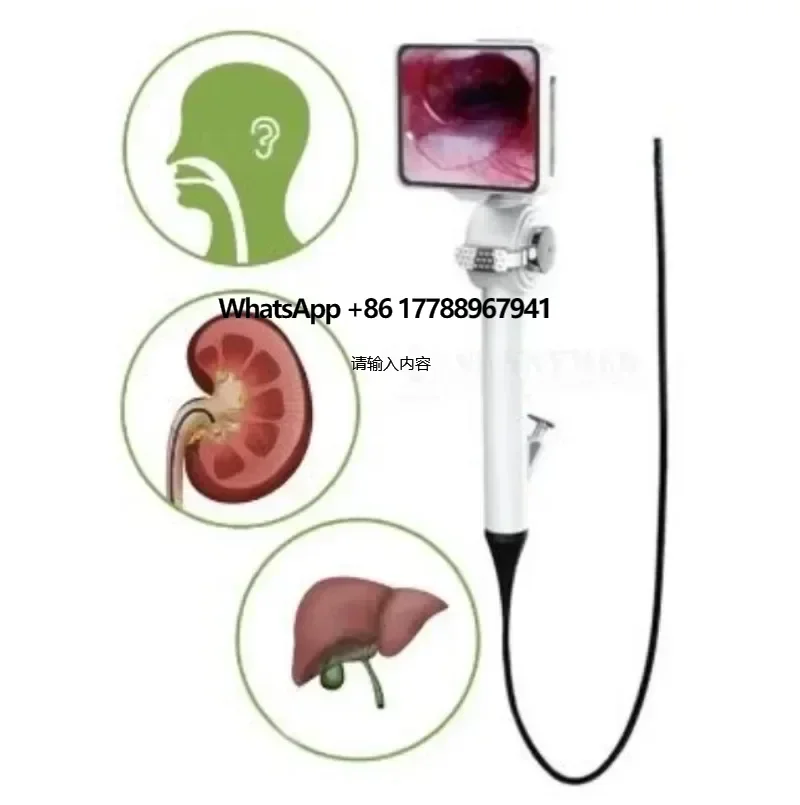 

SY-P029-3 Hot sale hospital flexible endoscope ENT inspection medical device Video Bronchoscopy laryngoscope