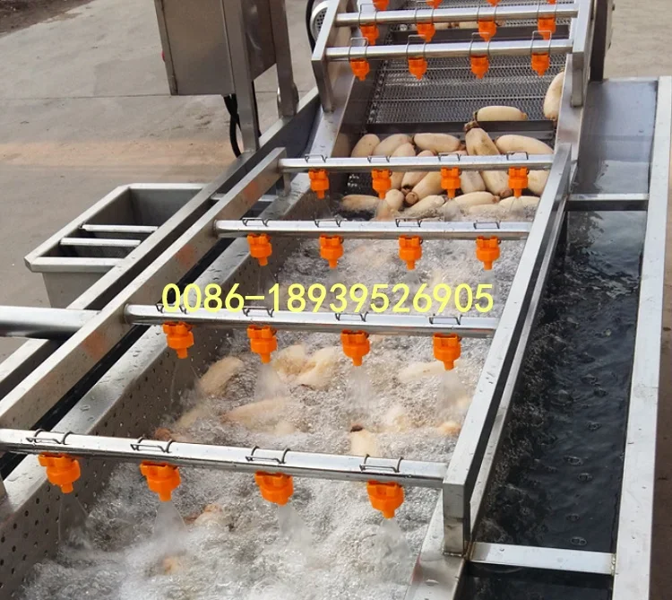 Commercial mushroom washing machine kelp cleaning machine bubble washing machine for vegetable fruit