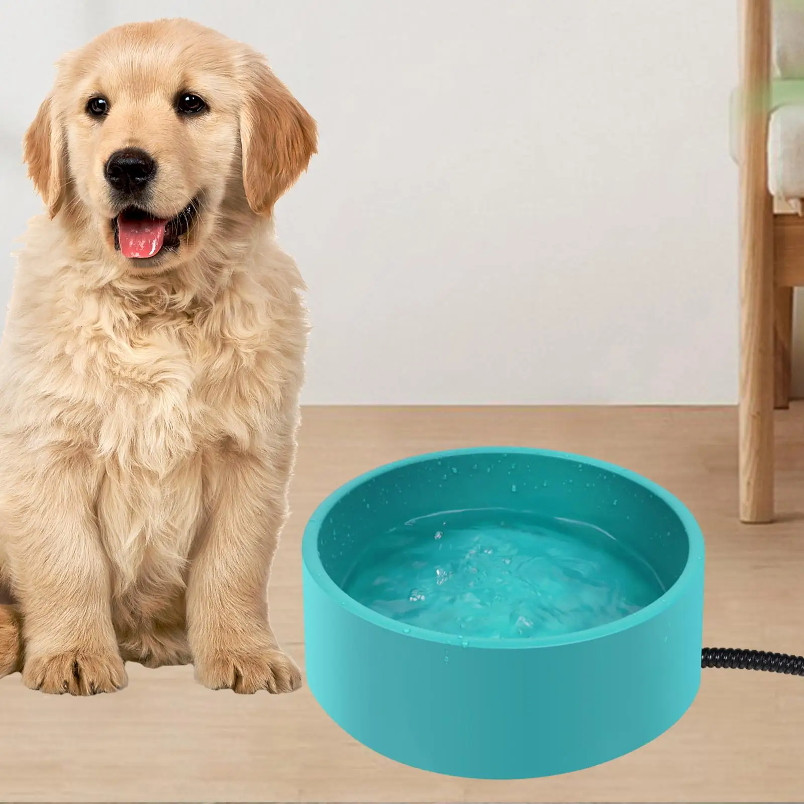 Heated Water Bowl for Outdoor Cats Dogs in Winter Dog Drinking Bowl Pet Heating Bowl Cat Feeder for Kitten Puppy Pet Cat