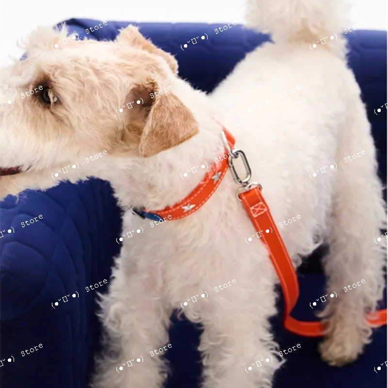 

Designer Designer Leather Pet Collars Small and Medium Dog Collar and Leash Set Accesorios Para Perros Arnes Perro Dogs Leash