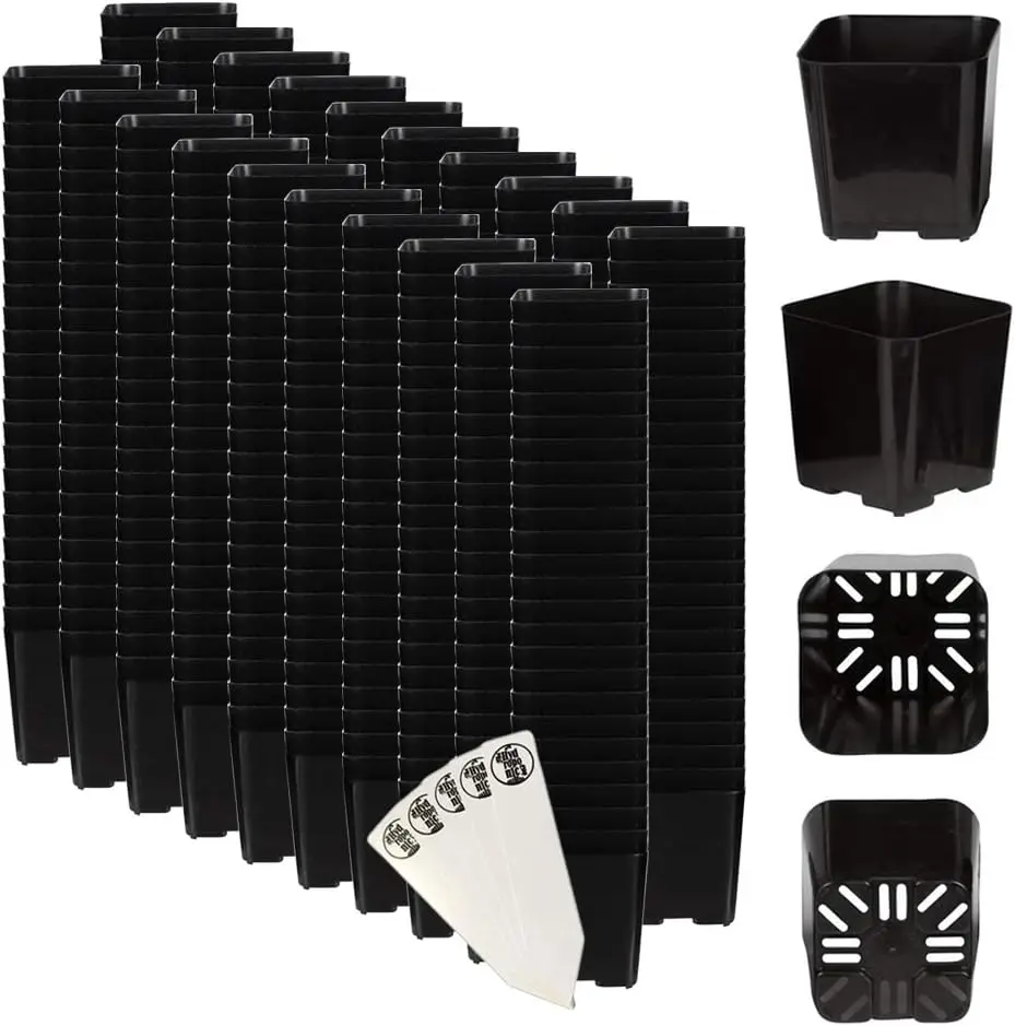

Black Square Flower Nursery Pots for Starting Seedlings, Succulents, or Cacti - 2" x 2", Pack of 500 + 5 THCity Stakes