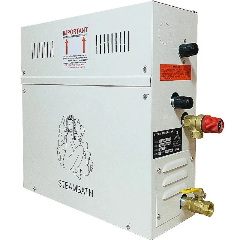 220v Steam Generator Dry Stream Furnace Wet Steam Steamer Digital Controller Mist Making Machine Home Use Steam Machine