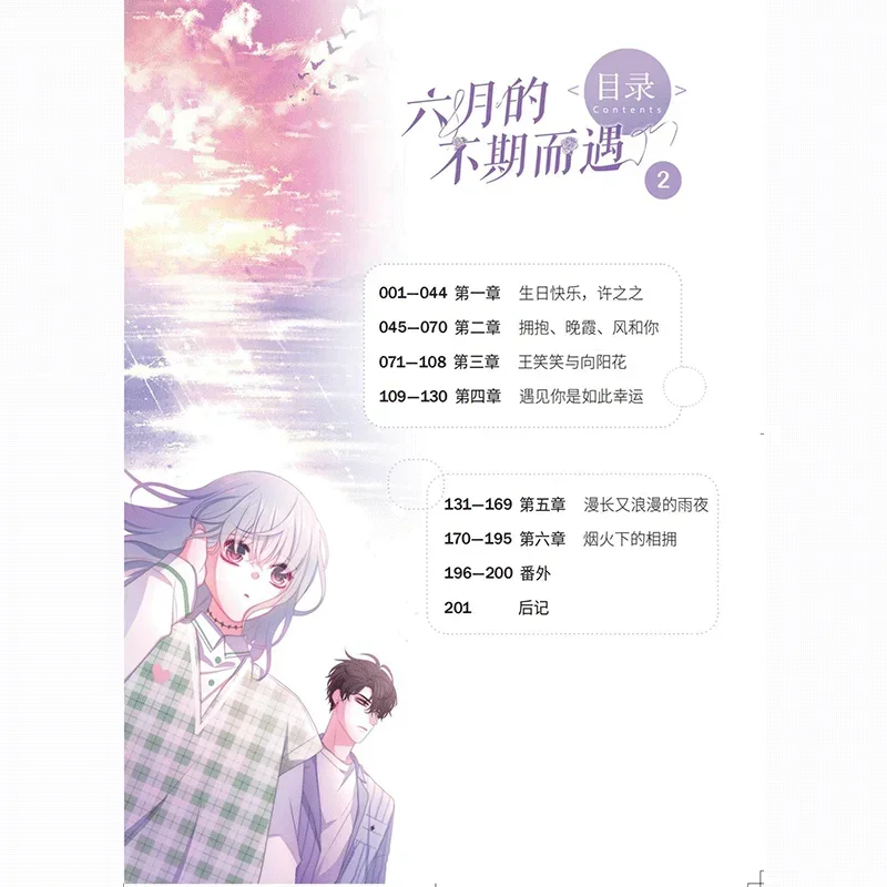 Libro DIFUYA June's Unexpected Encounter 2+ June's incredible Six Firewood Youth Healing campus graphic novel