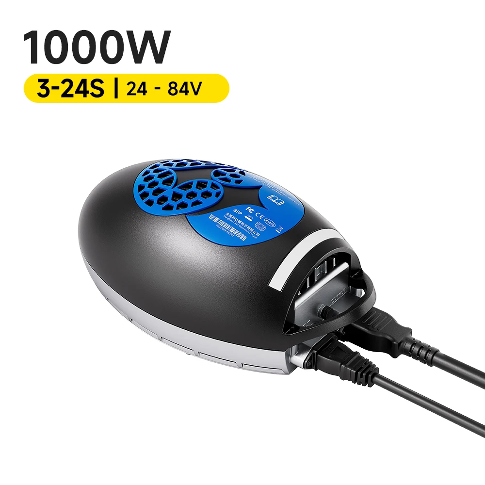 Daly Battery Charge…