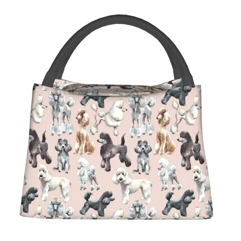 Custom Cute Poodles Dog Insulated Lunch Bags for Women Pudel Caniche Portable Cooler Thermal Bento Box Outdoor Camping Travel