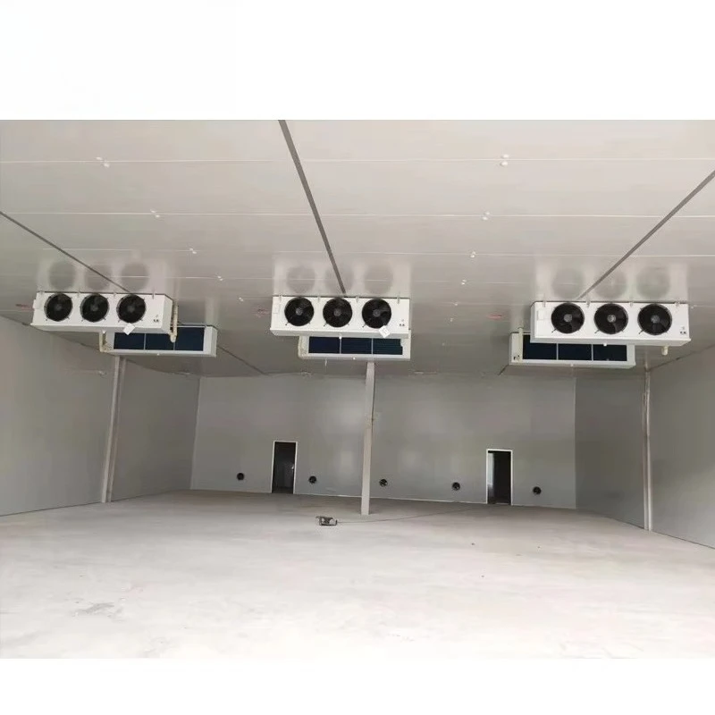 Customized Professional Walk-in Freezer Cold Storage Room Refrigeration Equipment For Salmon Seafood Frozen