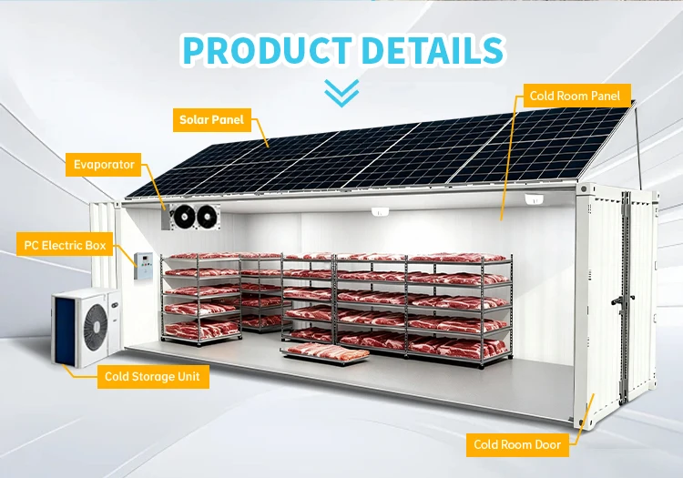 Solar 20-foot container refrigerator portable cold storage for sale of fish, fruits and vegetables