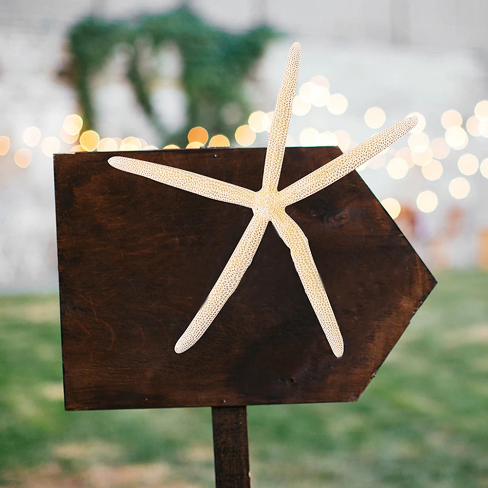 

2Pcs Natural Sea Star Ornaments Wedding Decoration Prop Nautical Craft Home Office Party Photography Supply Decorative Sea Star