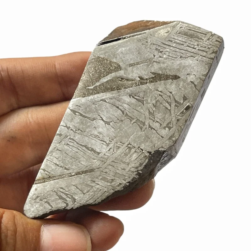 Natural Muonionalusta Iron Meteorite  Fragment Outer Space Rock Specimen for Display Collector Gift CC243
